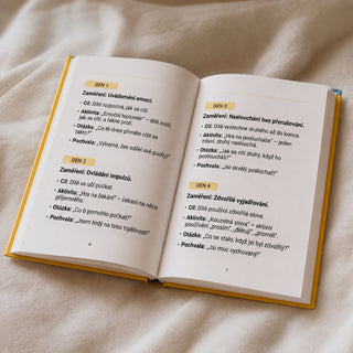 cz_vikane_gal_pages.png